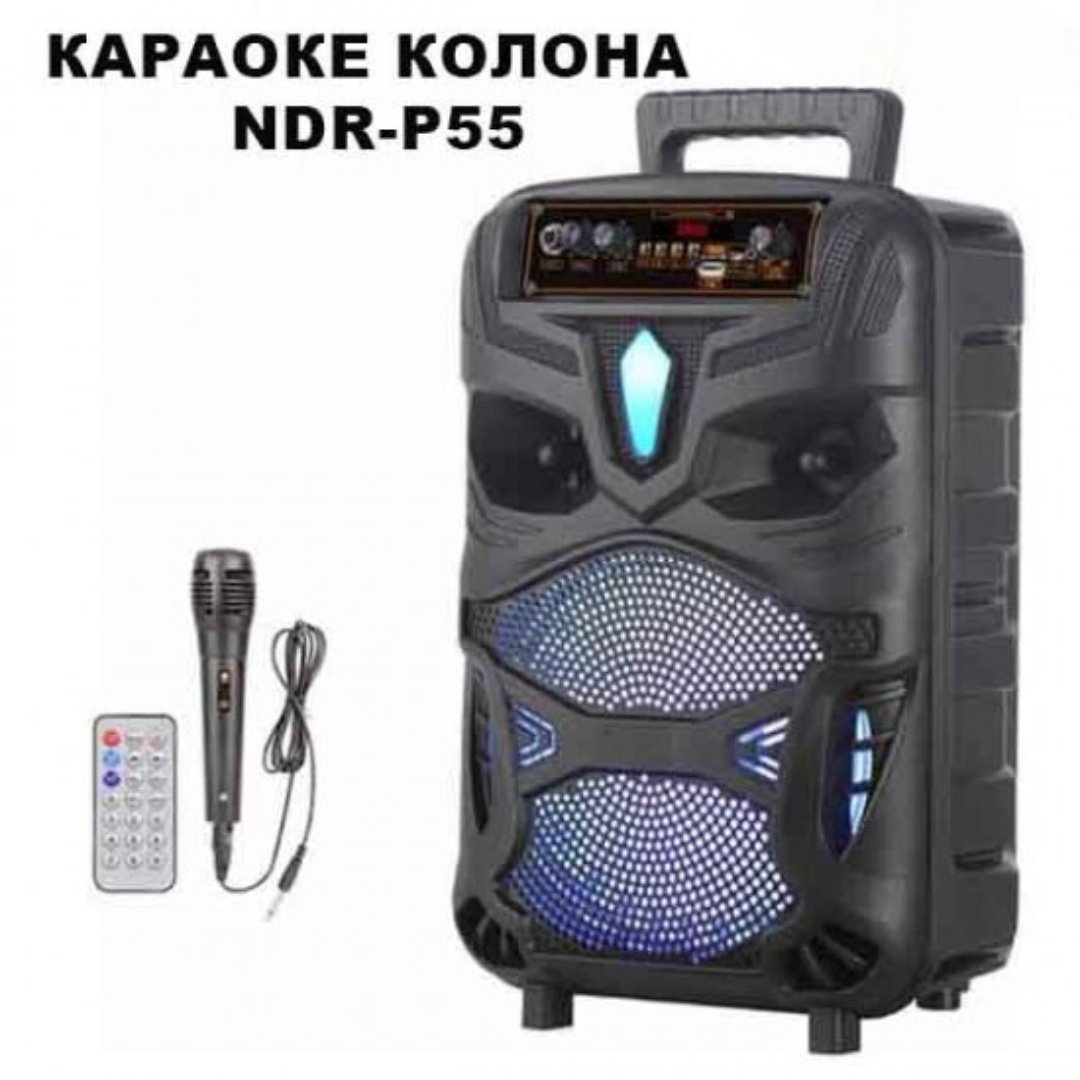 Караоке Колона NDR-P55